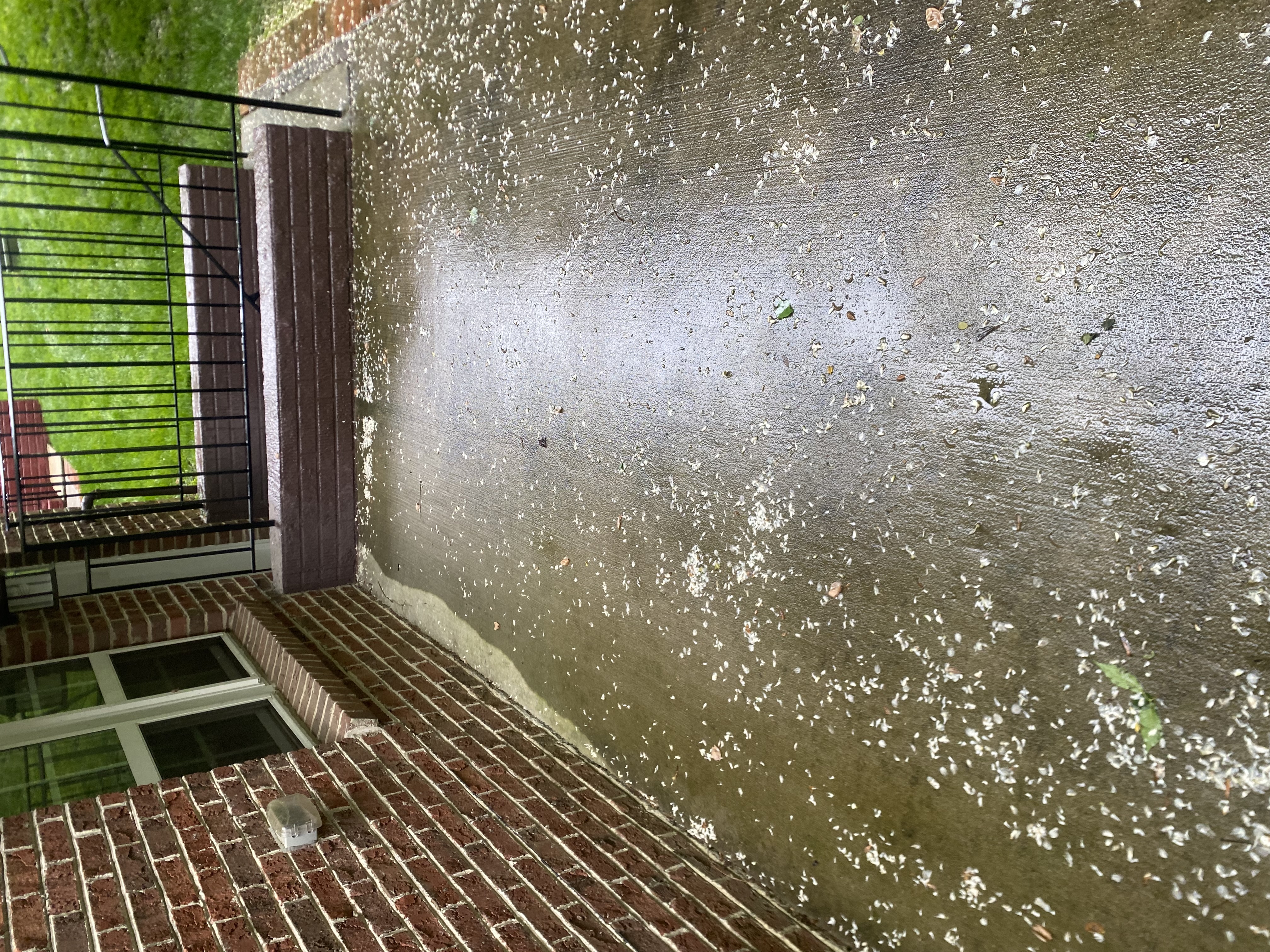 Germantown Maryland Back patio power washing 