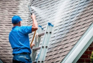 Roof cleaning